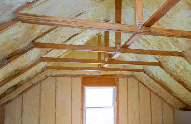 Best Insulation Inspection Services  in Mathews, LA