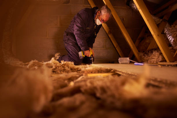 Best Crawl Space Insulation  in Mathews, LA