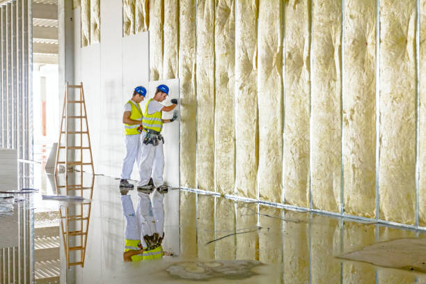 Best Residential Insulation Services  in Mathews, LA
